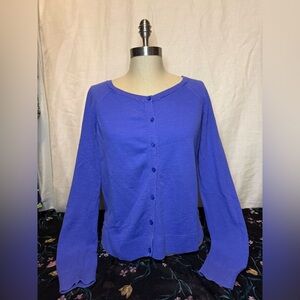 LOFT Periwinkle Sweater